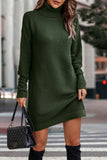 Denver Sweater Dress