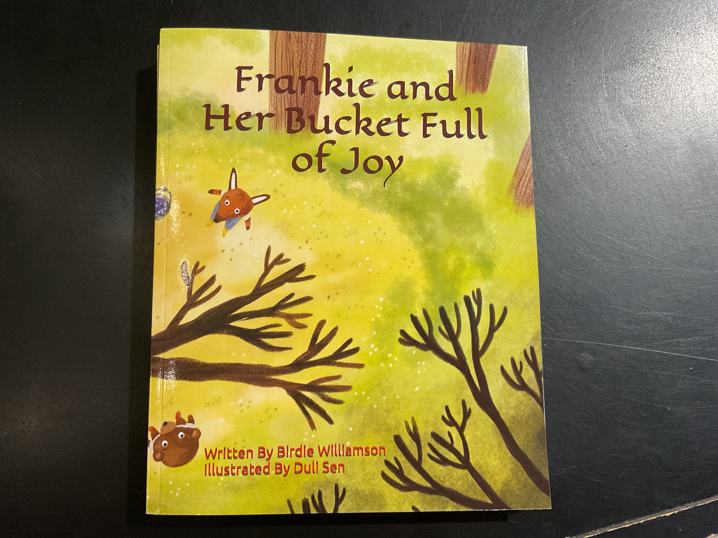 Frankie and Her Bucket Full of Joy
