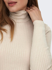 Only Karol Roll Neck Top