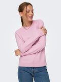 Only Rica Crew Neck Sweater