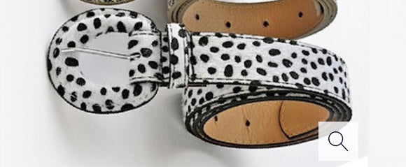 Dalmatian Belt