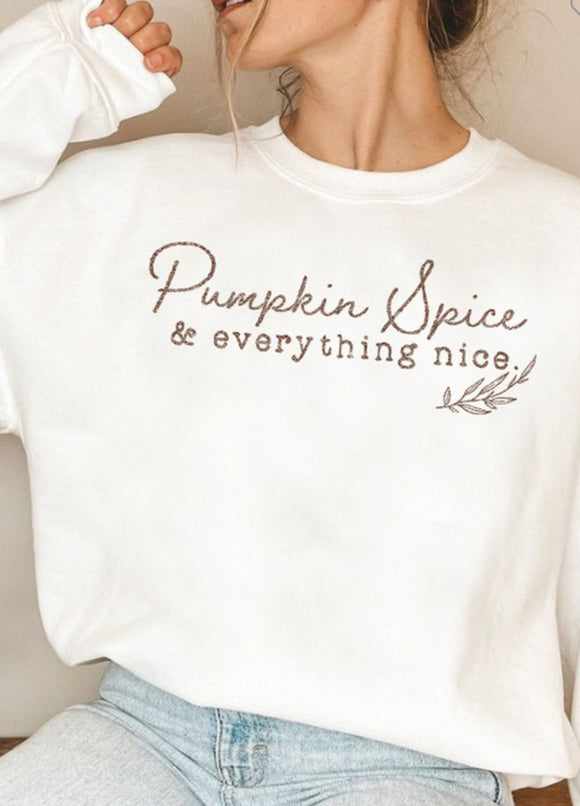 Pumpkin Spice Sweatshirt