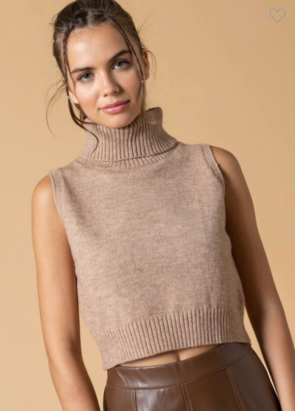 Raley Turtle Neck Sleeveless Knit Top